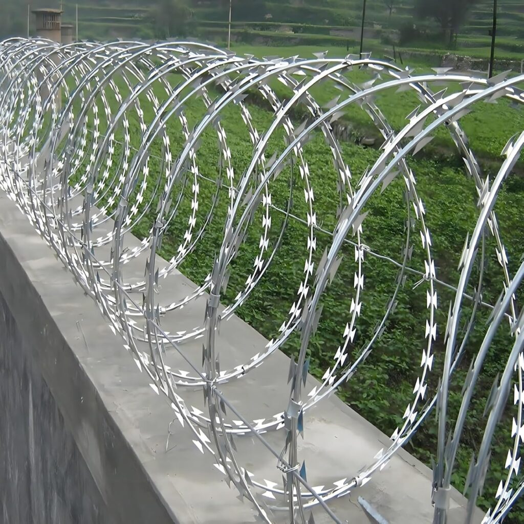galvanized razor wire